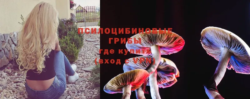 где купить наркоту  Калуга  Галлюциногенные грибы Magic Shrooms 